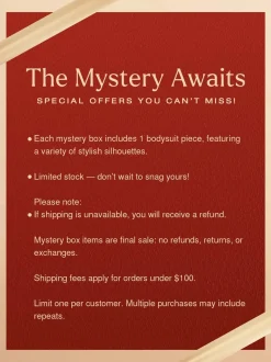 Mystery Box: $29.99 Bodysuit Limited Surprise